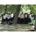 Wing Tsun, 2010-es edzőtábor, Siófok